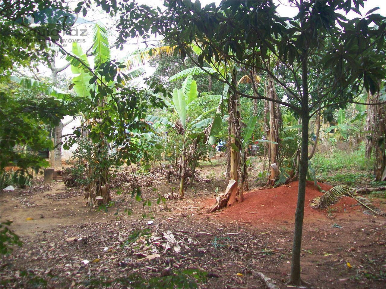 Terreno, 548 m² - Foto 6