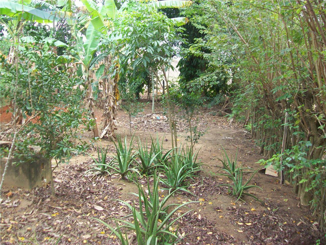 Terreno, 548 m² - Foto 8